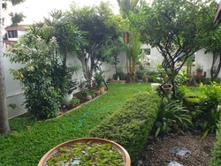 Jalan Chempaka Puteh (D16), Semi-Detached #189843412